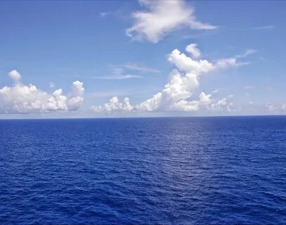 Sea view отзывы