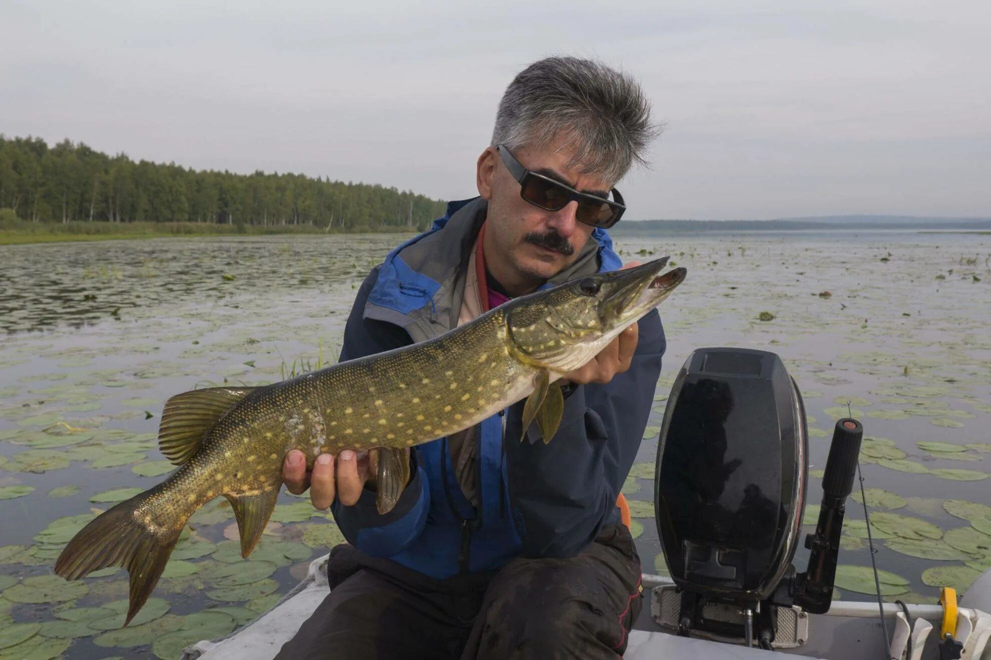 Где половить в подмосковье. Икшинское водохранилище рыбалка. щука в подмосковье. рыбалка щука подмосковье. рыбалка в подмосковье.