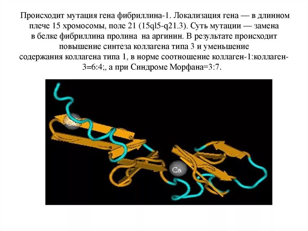 Ген fbn1 синдром Марфана. Мутация Гена фибриллина. Синдром Марфана фибриллин 1. Мутация Гена фибриллина синдром. Изменения происходящие в генах это