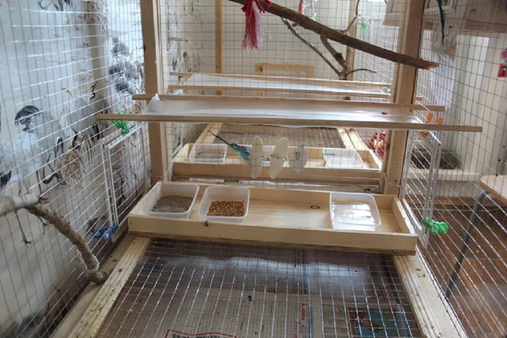 Как сделать клетку для попугая своими руками. Клетка для волнистого попугая деревянная. Как сделать клетку для попугая своими руками. Как сделать клетку для попугая своими руками. Как сделать клетку для попугая своими руками.