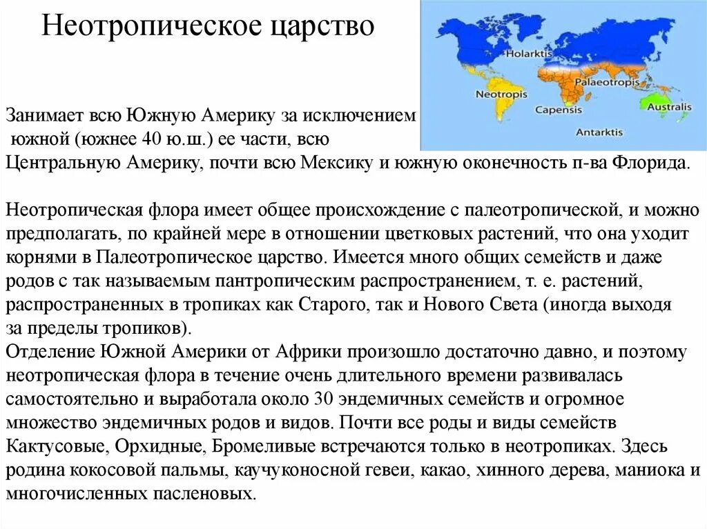 Неотропическое флористическое царство. Палеотропическое царство животные. Неотропическое биотическое царство. Характеристика неотропического флористического царства.