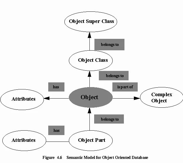 Object width. Object Oriented database. Object-Oriented database model. Object-Oriented data models. Object Oriented structure database.