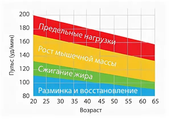 Пульс при беге у мужчин