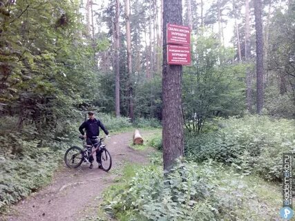 Юго западный лесопарк г екатеринбург