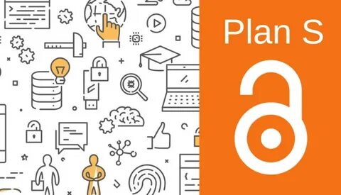 S plan