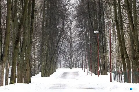 Работа парка швейцария