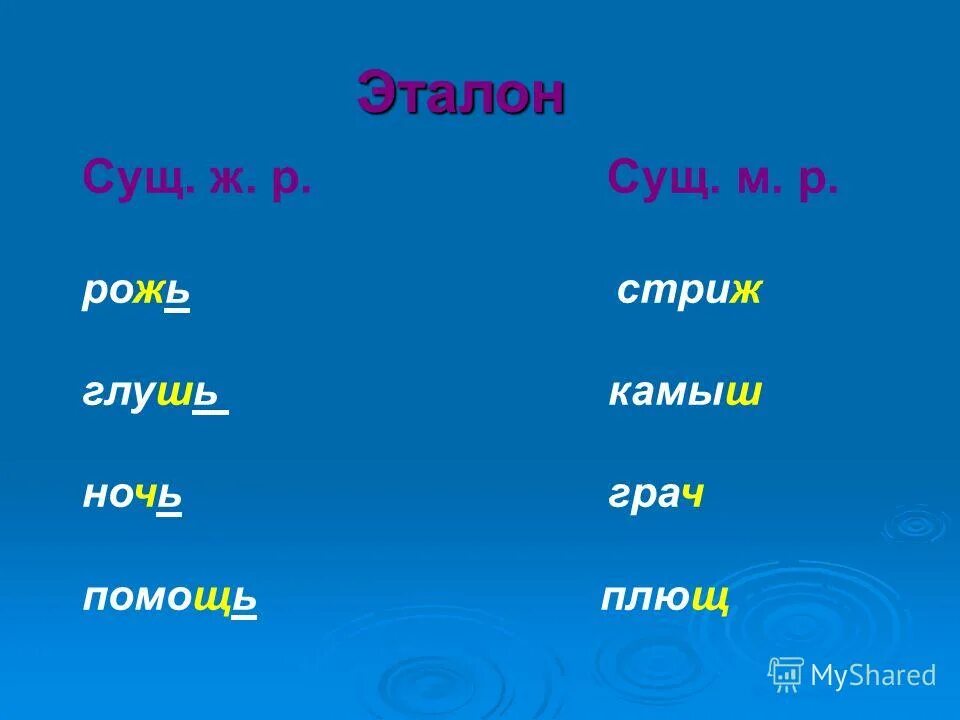 Сущ+сущ в р. Сущ ж р. М. Сущ ж р. Распределите имена существительные по родам.