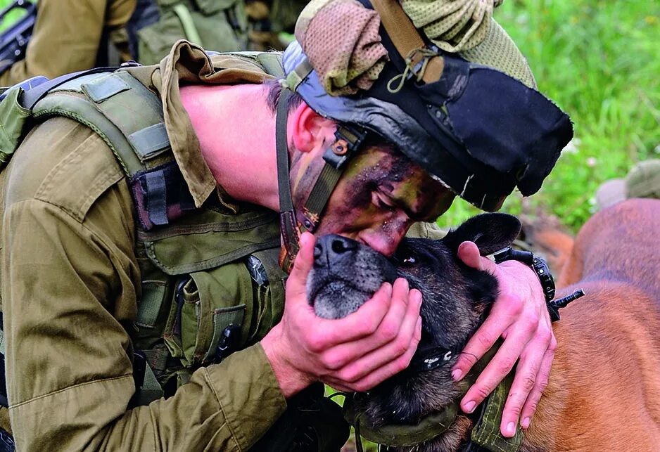 Военный друг. Военная собака. Солдат с собакой. Собаки на службе. Собаки на службе в армии.
