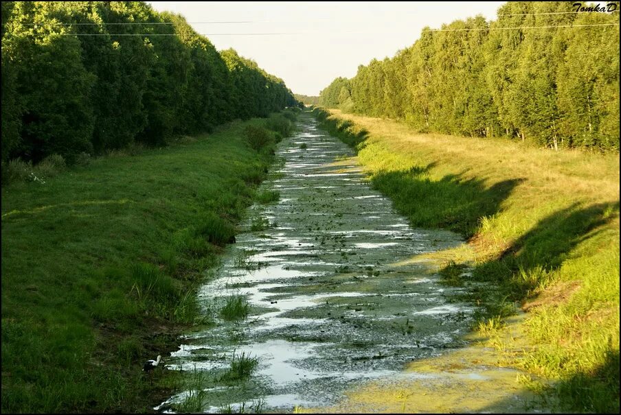 Дорога пересекает реку. Исток реки Припять. Поперек реки. Случь (приток Припяти). Река Припять у щитин в Волынской области.