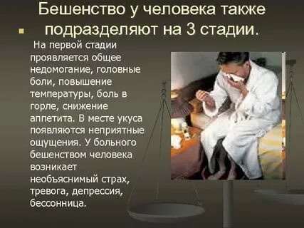 Через сколько умирает человек после бешенства