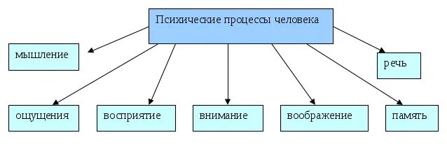 Память относится к психическим