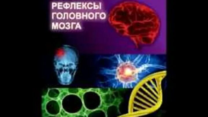 Рефлексы головного мозга таблица. Рефлексы головного мозга Сеченов 1863. Книга Сеченова рефлексы головного мозга. Книга Сеченова рефлексы головного мозга 1863.