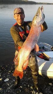 Арк алтайский рыболовный клуб