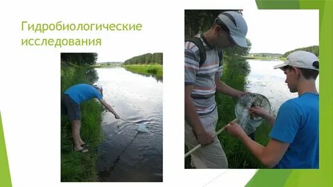 Исследование водоемов