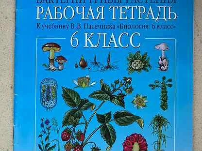 Биология 6 класс стр 14