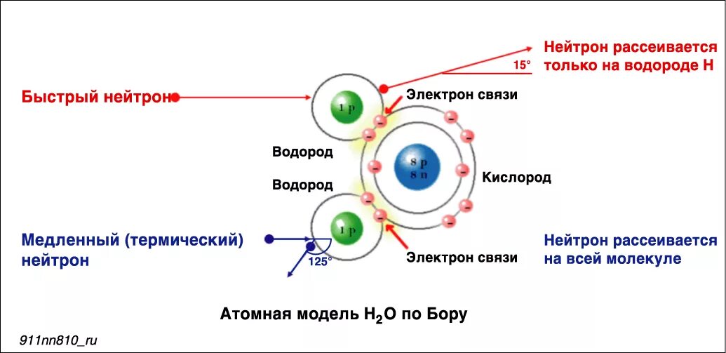 Реакция захвата нейтрона. Сечение взаимодействия нейтронов урана-235. Рассеяние нейтронов. Поглощение нейтронов. Рассеяние нейтронов на протонах.