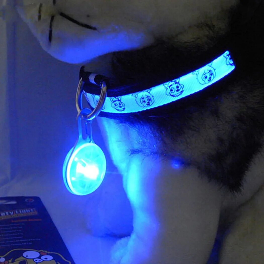 Мягкая игрушка светится в темноте. Светодиодный ошейник для собак и кошек. Светящийся ошейник. Светящиеся игрушки для собак. Ошейник с подсветкой для собак.