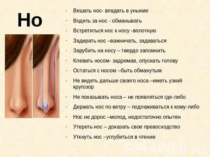 Вешать нос значение
