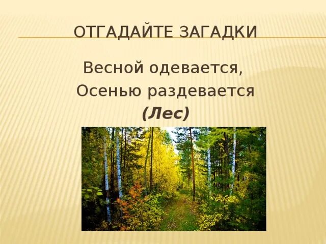 Весной одевается осенью одевается. Отгадай загадку весной одевается осенью раздевается. весной одевается осенью раздевается. загадки про лес летом раздетый. загадка:весной одевается весной, осенью раздевается.