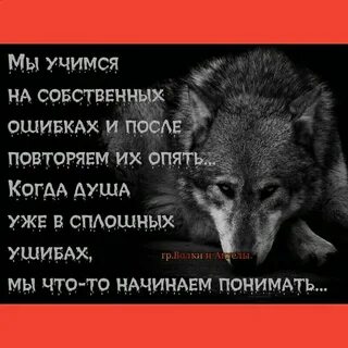 Слова связанные с волком