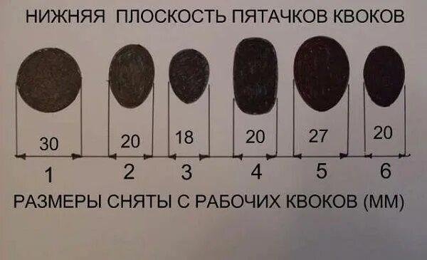 Пятак размер. Квок на сома формы пятаков. размер пятачка для квока. пятаки для квока размеры. форма пятака квока.