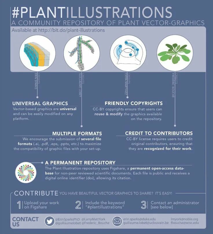 Plant resources. Инфографика растения. Ботаника инфографика. Инфографика по ботанике. Инфографика растения 6 класс.