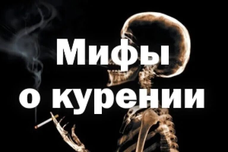 Вред сигарет миф. Мифы о курении. мифы о курении сигарет. мифы и факты о табакокурении. мифы и реальность о курении.