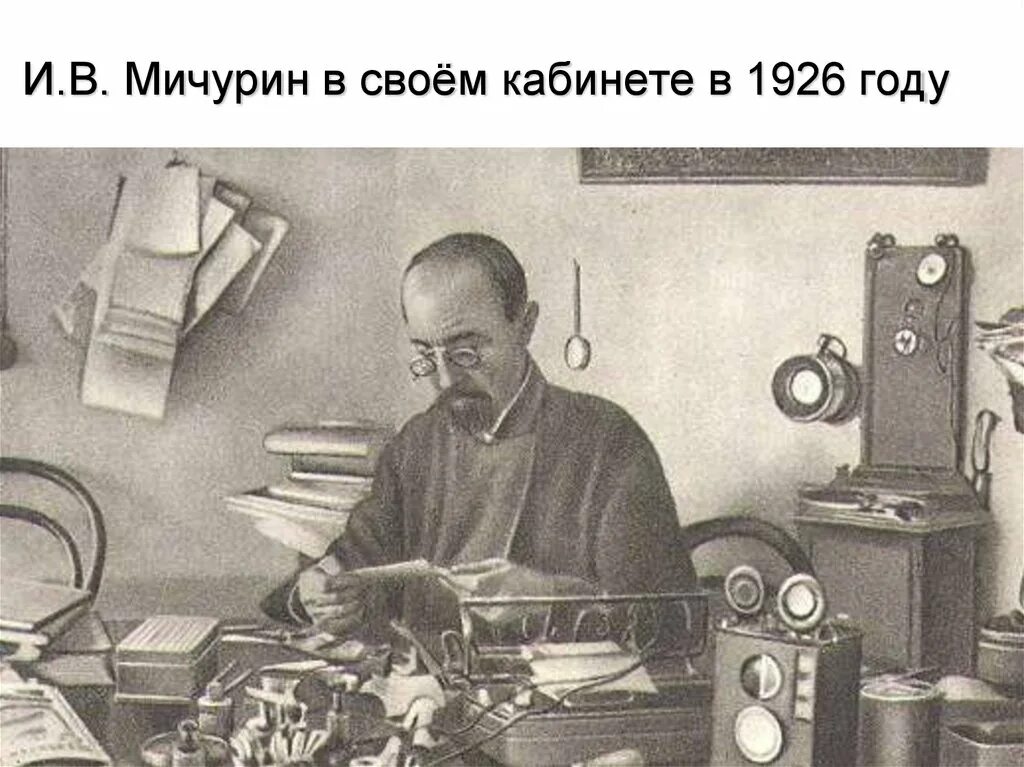 И. В. Мичурин за работой в своем кабинете. 1926 Г.. Великий ботаник