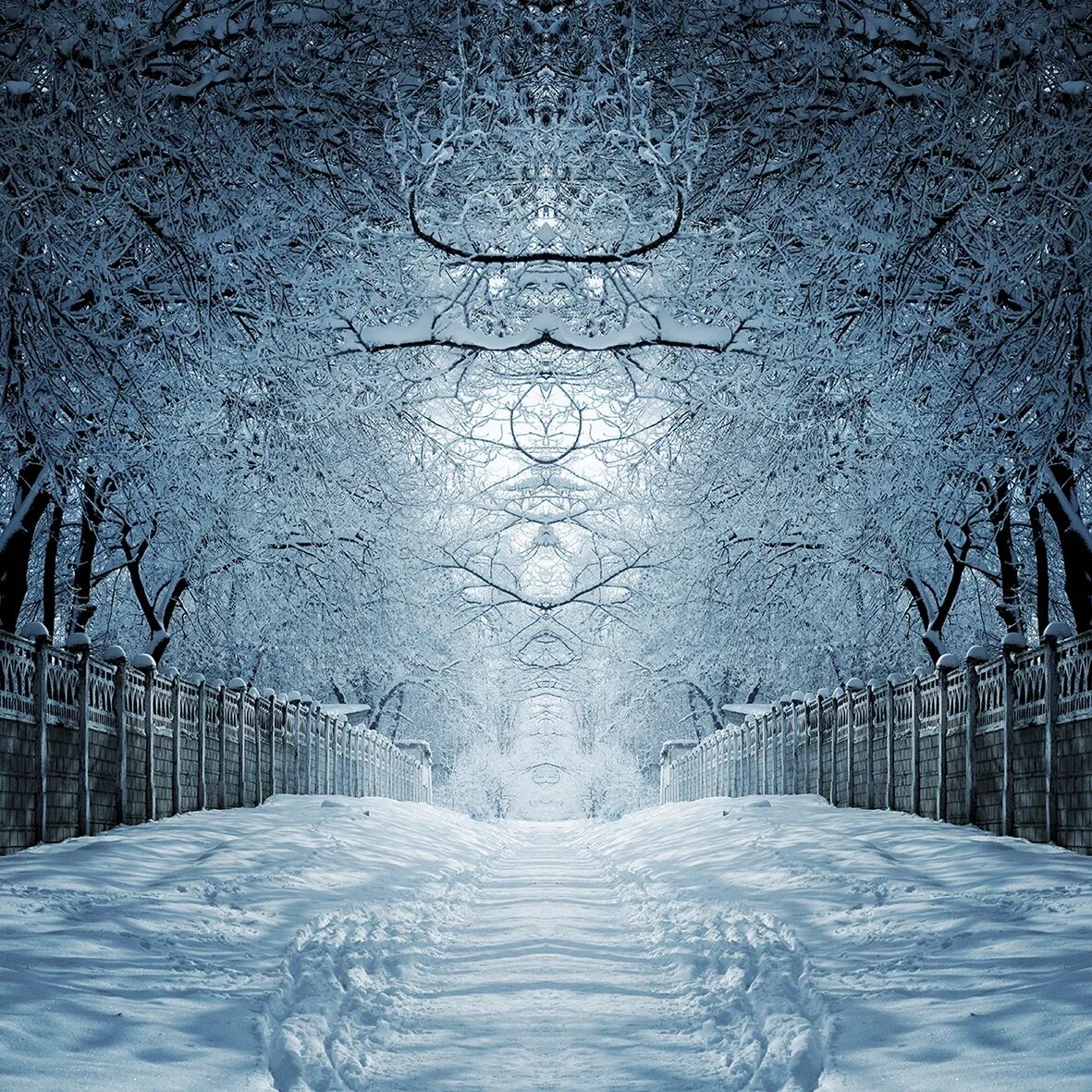 The snow fell. Зима абстракция. зимняя абстрактная фотосессия. обложка для плейлиста зима. cd snow: snow.
