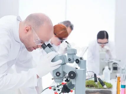 Три исследователя