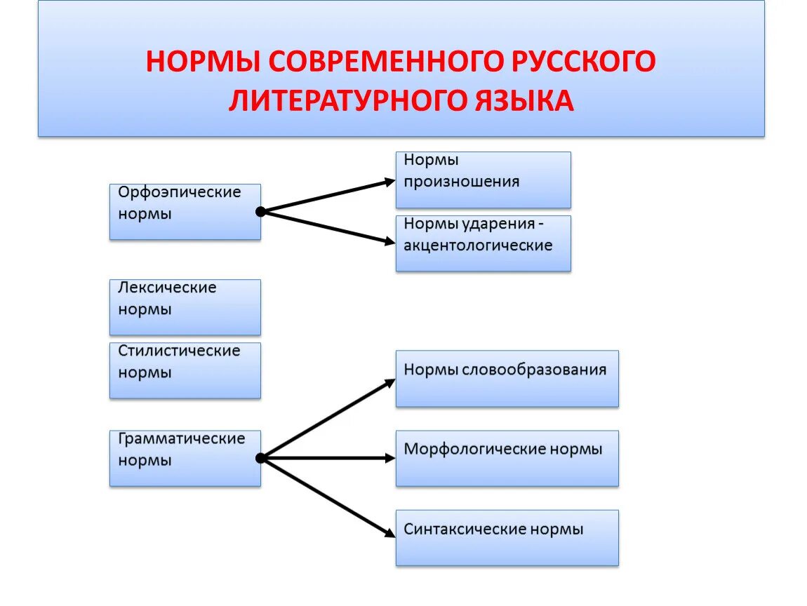 Основные нормы русского