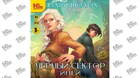Слушать аудиокнигу курсант 3
