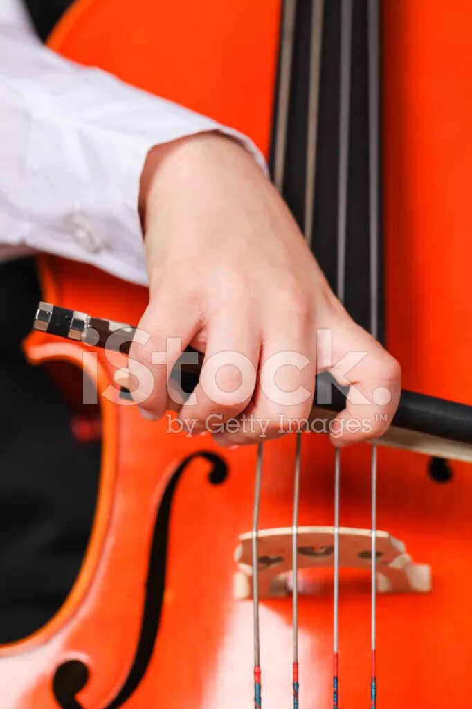 Beginning Violin: How to hold the violin bow Violin bow, Beginner violin sheet m