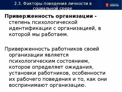 Программа лита