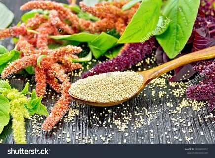 Амарантовая крупа польза и вред