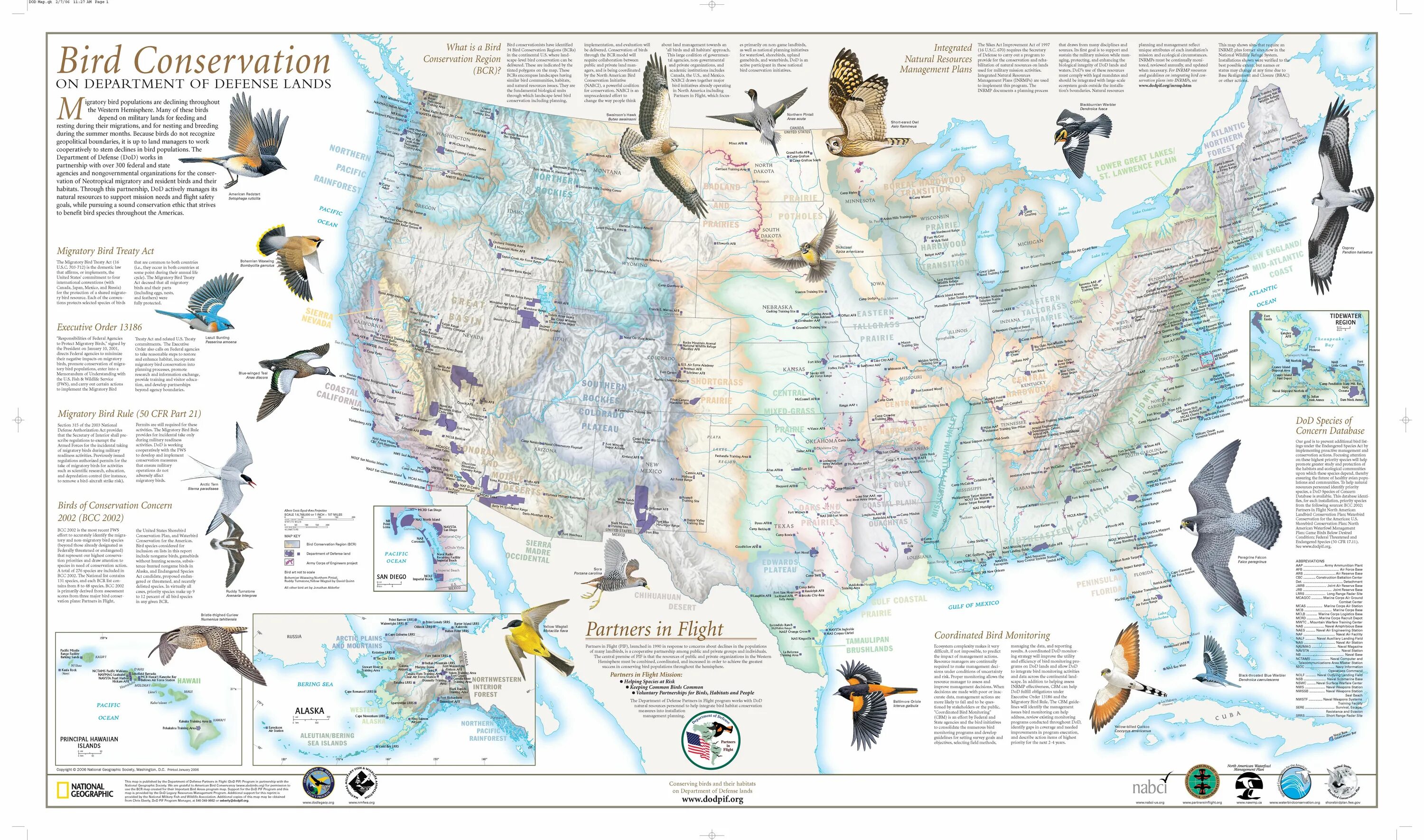 Карта bird. Карта миграции птиц России. Пути миграции птиц. Миграция птиц схема. Основные пути миграции птиц.