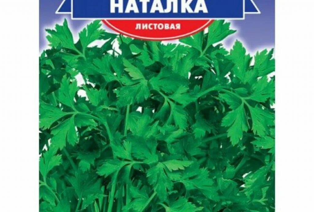 Петрушка лучшие сорта для открытого грунта. Петрушка сорт богатырь. Петрушка семена лучшие сорта для открытого грунта. Петрушка лучшие сорта для открытого грунта. Петрушка аэлита.