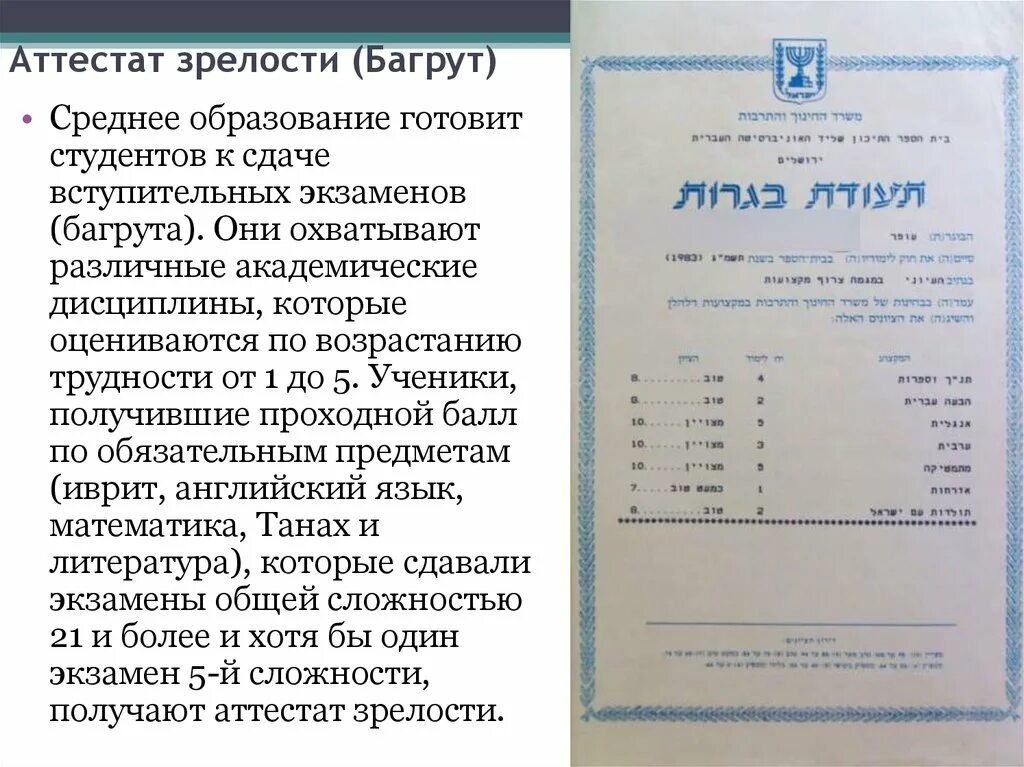 Купил аттестат diplomy grups24