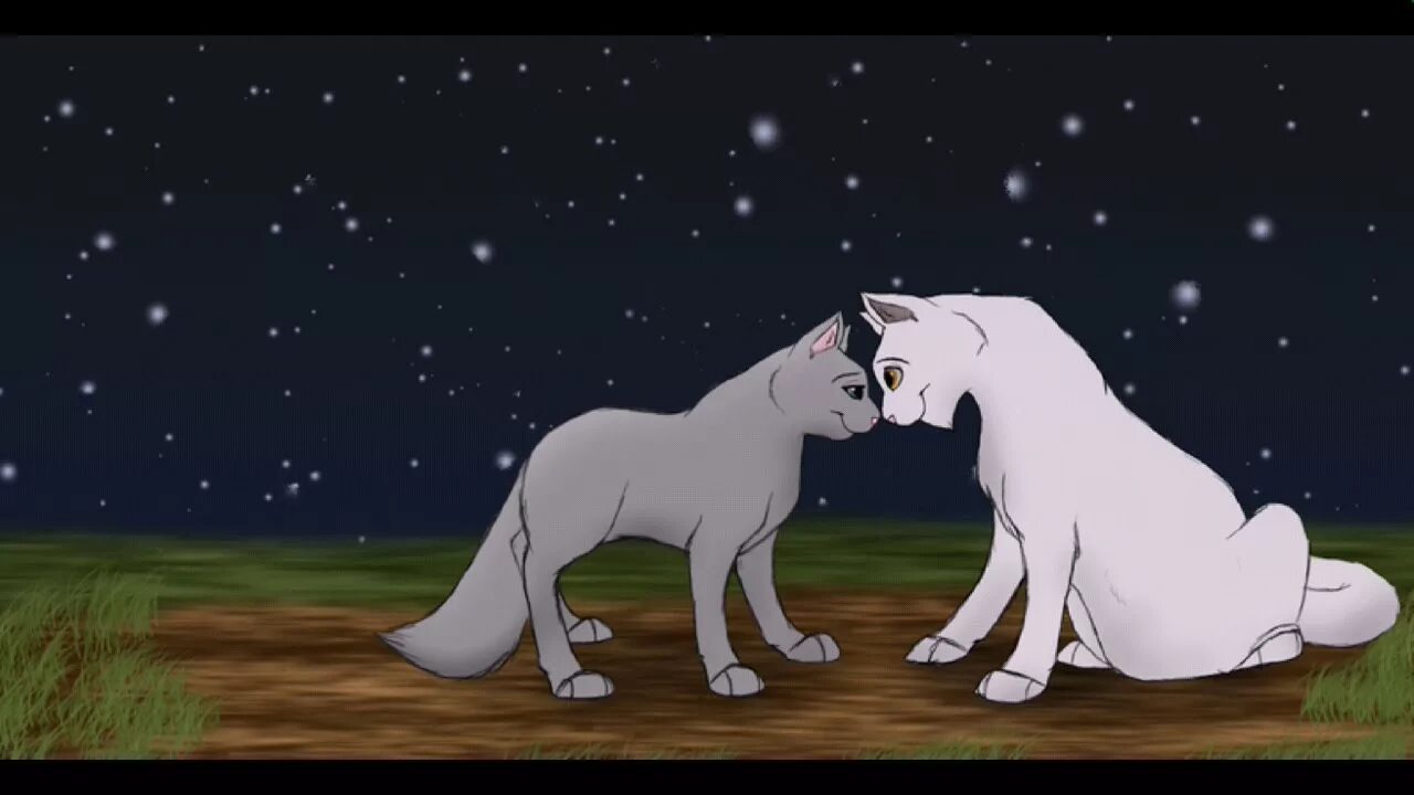 Коты воители буран. Коты воители синяя звезда. Коты воители синеглазка. Whitestorm коты воители. Коты воители синеголаз.