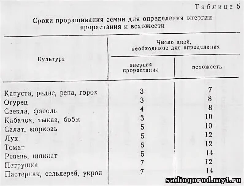 Время всхожести семян. Таблица всхожести семян овощных. Сроки прорастания семян таблица овощей. Сроки всхожести семян таблица. Сроки всхожести семян овощей таблица.