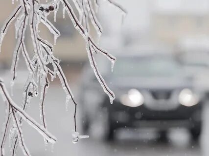 Cold much