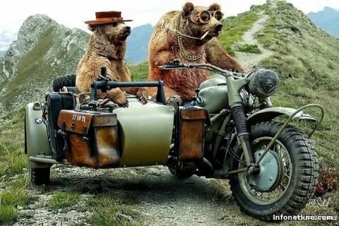 Медведь коляска
