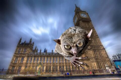 Monster london