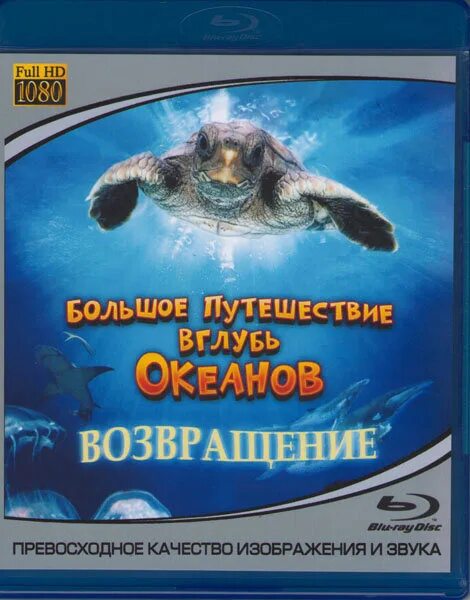 Океан возвращение. Путешествие вглубь океана. Вглубь океанов. Океан колыбель жизни. Черепашка путешествует.