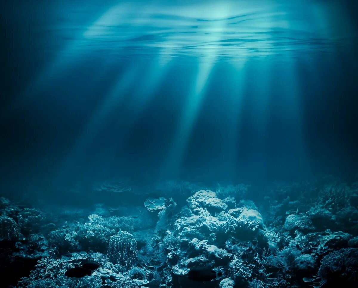 Дно океана. Морское дно. Океаны. Глубина. Океан под водой. Дно картинки надпись