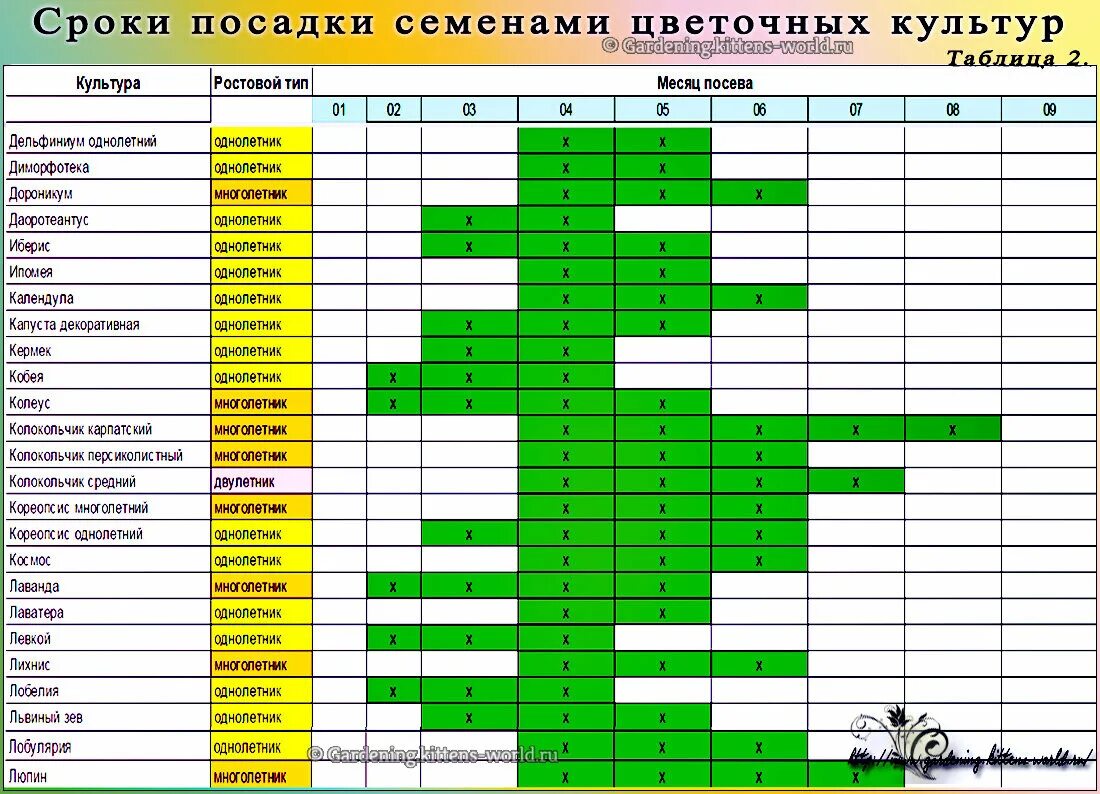 Какие семена посадить в мае. Таблица высадки овощей на рассаду. Таблица посадки цветов. Таблица посадки цветов на рассаду. График посева семян цветов на рассаду.