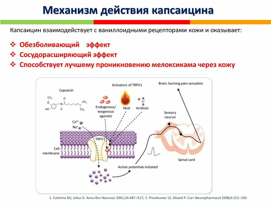 Основные механизмы действия лекарственных веществ. Механизм действия лс это в фармакологии. Механизм противомикробного действия. Механизм действия это что. Механизм действия это что.