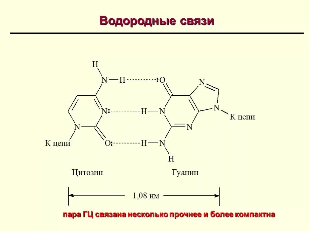 Аденин и гуанин водородные связи. Гуанин цитозин связь. Водородные связи между гуанином и цитозином. Водородные связи в цитозин. Гуанин и цитозин водородные связи