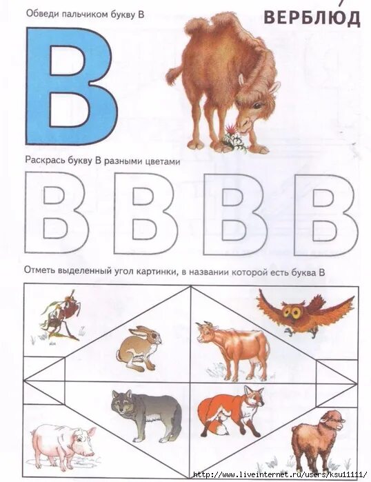 Буква в верблюд. Верблюд раскраска. Нарисуй на что похожа буква м. Буква в верблюд. Верблюд из буквы в.