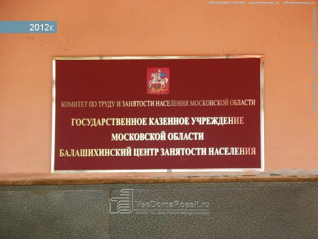 Директор центра занятости населения балашиха. Центр занятости балашиха сайт. Центр занятости населения балашиха. Биржа труда город балашиха. Телемост в центре занятости населения.